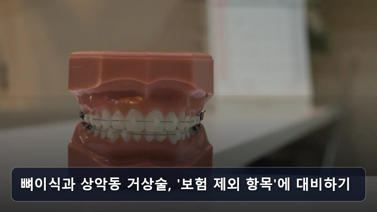 뼈이식과 상악동 거상술, '보험 제외 항목'에 대비하기 관련 이미지