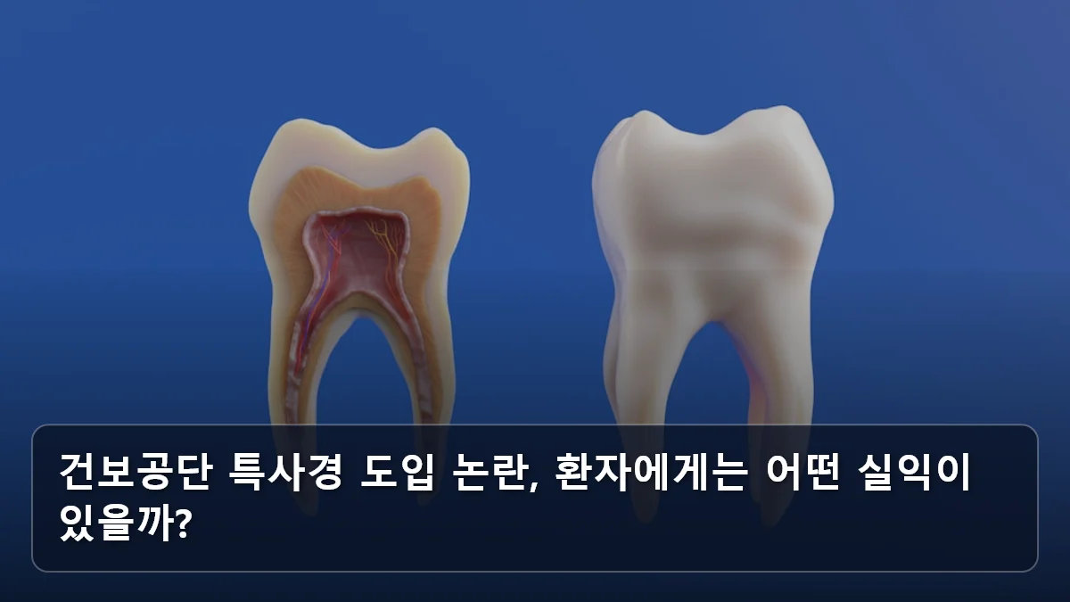 건보공단 특사경 도입 논란, 환자에게는 어떤 실익이 있을까? 관련 이미지