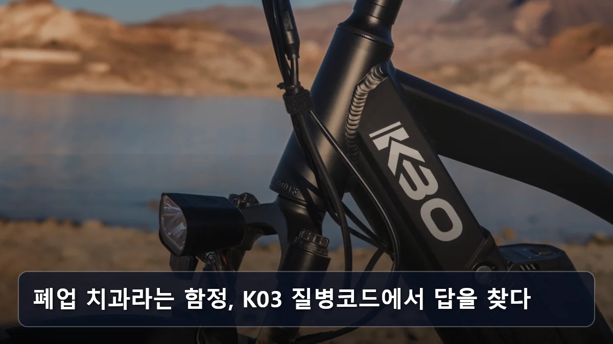 폐업 치과라는 함정, K03 질병코드에서 답을 찾다 관련 이미지