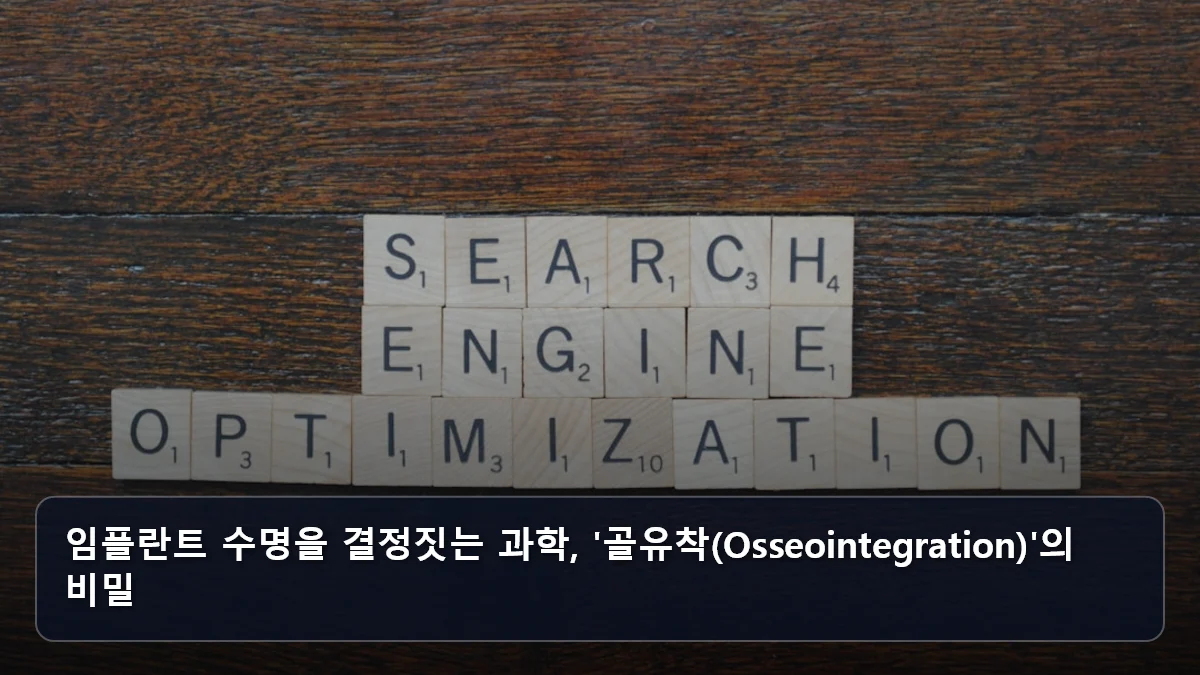 임플란트 수명을 결정짓는 과학, '골유착(Osseointegration)'의 비밀 관련 이미지