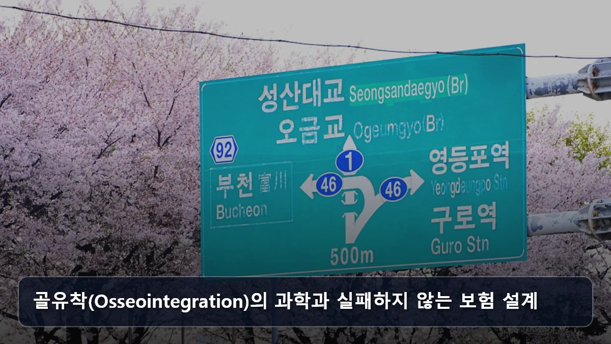 골유착(Osseointegration)의 과학과 실패하지 않는 보험 설계 관련 이미지