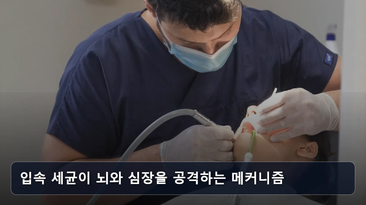입속 세균이 뇌와 심장을 공격하는 메커니즘 관련 이미지