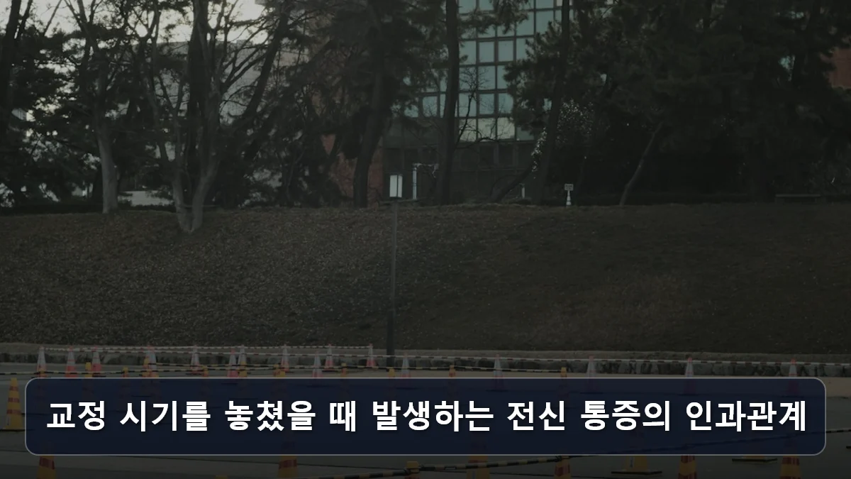 교정 시기를 놓쳤을 때 발생하는 전신 통증의 인과관계 관련 이미지