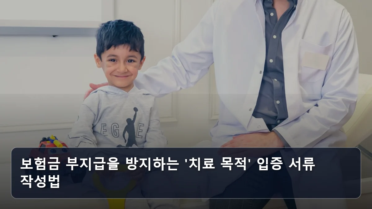 보험금 부지급을 방지하는 '치료 목적' 입증 서류 작성법 관련 이미지