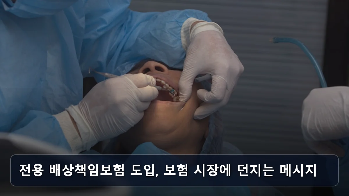 전용 배상책임보험 도입, 보험 시장에 던지는 메시지 관련 이미지