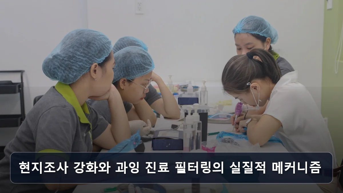 현지조사 강화와 과잉 진료 필터링의 실질적 메커니즘 관련 이미지